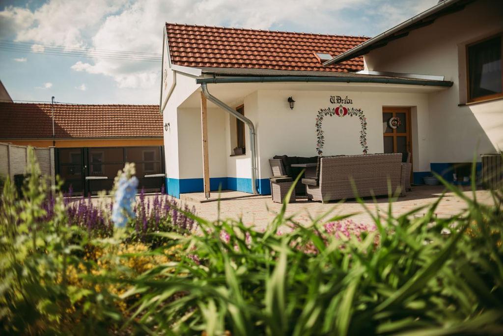 Apartman U Draba: Ubytovani Na Slovacku V Miloticich U Kyjova Milotice 外观 照片
