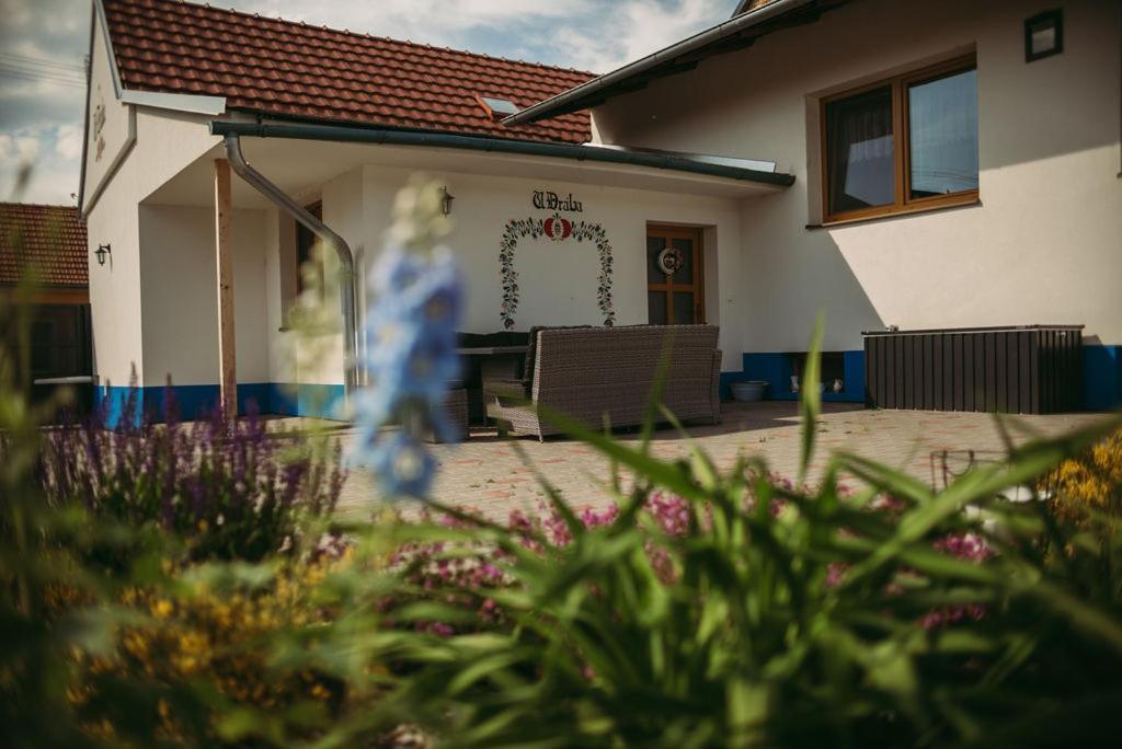 Apartman U Draba: Ubytovani Na Slovacku V Miloticich U Kyjova Milotice 外观 照片
