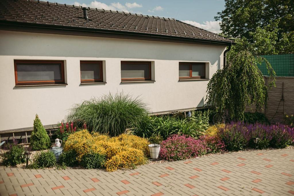 Apartman U Draba: Ubytovani Na Slovacku V Miloticich U Kyjova Milotice 外观 照片